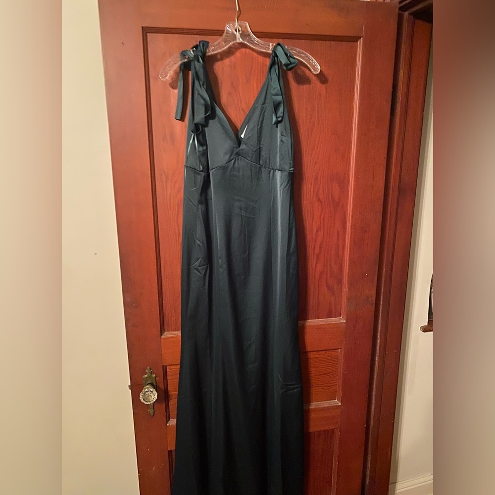Maniju Formal Dress with ribbon sleeve